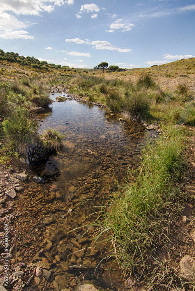 countryside stream of water located in Portugal. countryside stream of water located in Portugal.