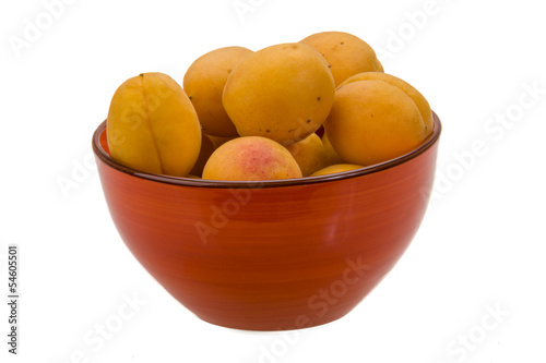 Yellow bright apricot