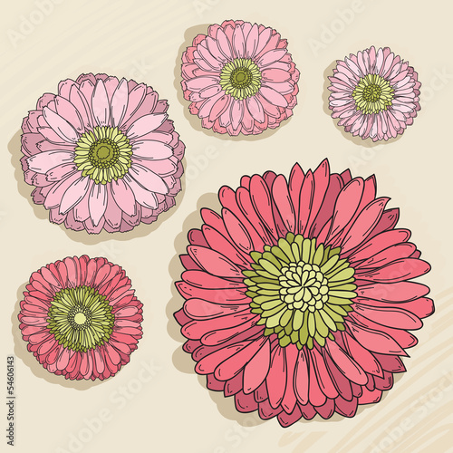 Fototapeta Naklejka Na Ścianę i Meble -  Set of hand drawn flowers