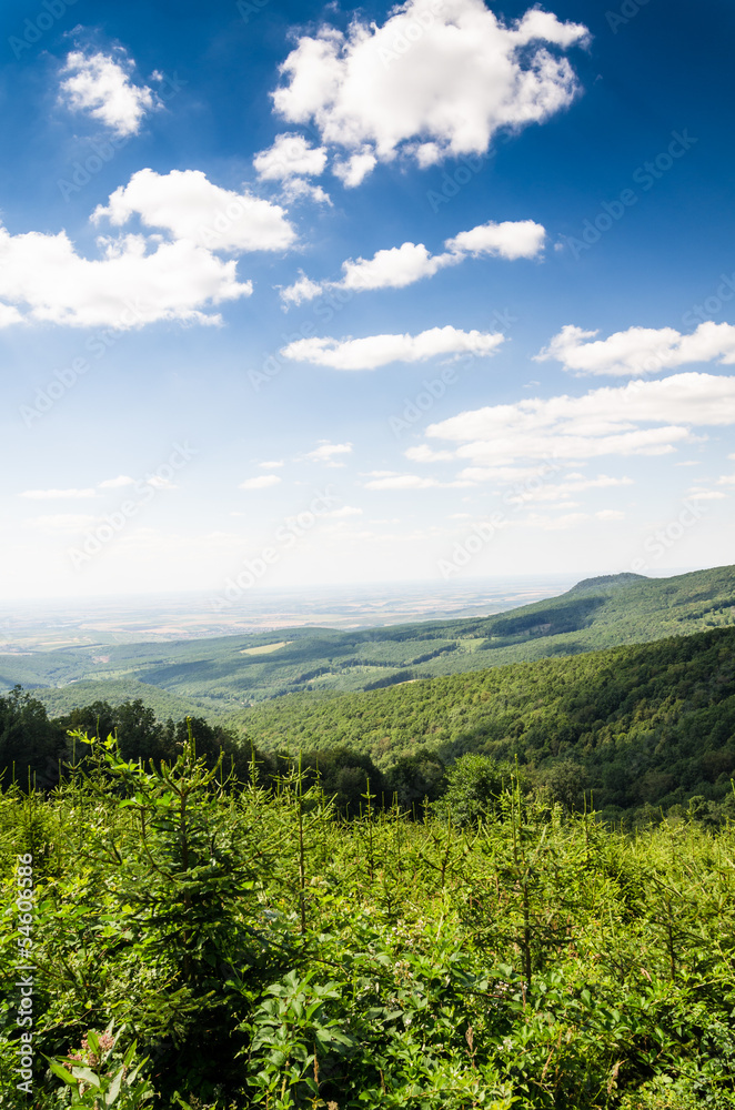 Obraz premium mountain background