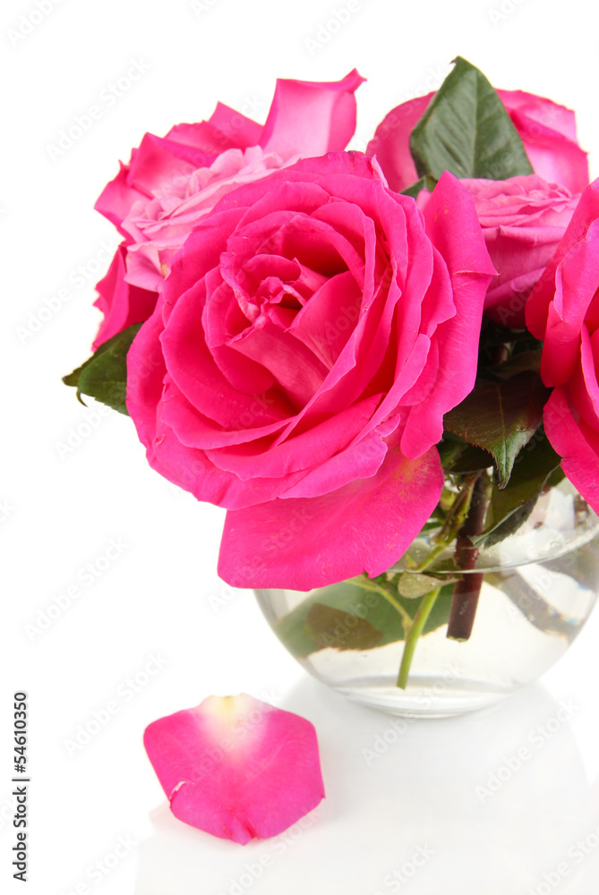 Beautiful pink roses in vase isolated on white