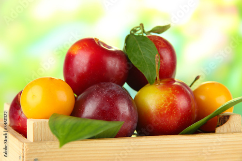 Ripe plums in box on wooden table on natural background