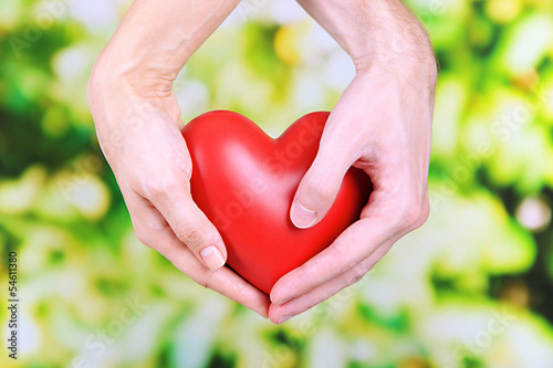 Heart in hands on nature background