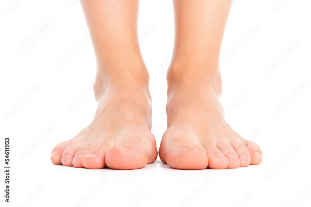 Woman legs isolated Woman legs isolated