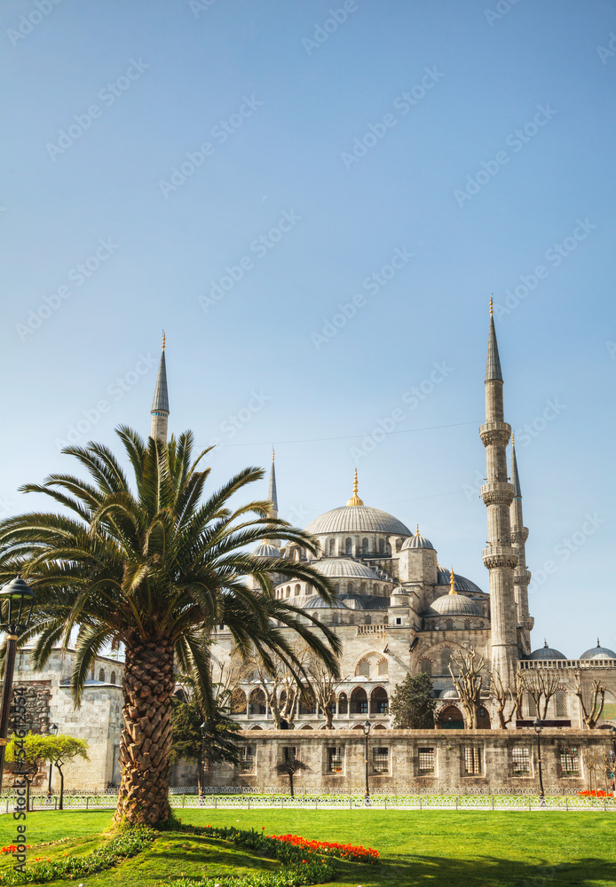 Naklejka premium Sultan Ahmed Mosque (Blue Mosque) in Istanbul