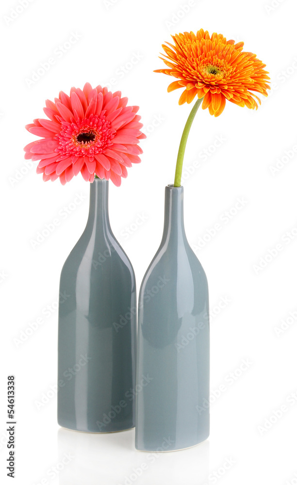 Beautiful gerber in vase isolated on white Beautiful gerber in vase isolated on white