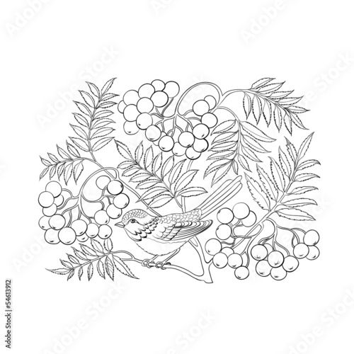Art rowan tree isolated over white.