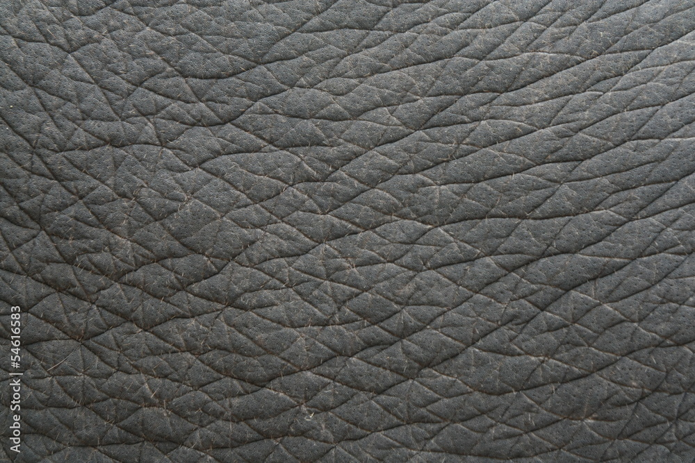 elephant skin textured,Thailand elephant skin textured,Thailand