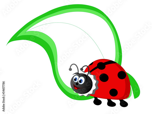 Cartoon ladybird