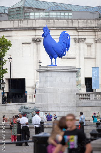 Fototapeta Big blue cockerel in London's Trafalgar Square