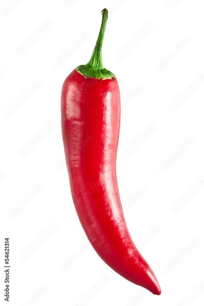 Red hot chili pepper isolated on a white background Red hot chili pepper isolated on a white background