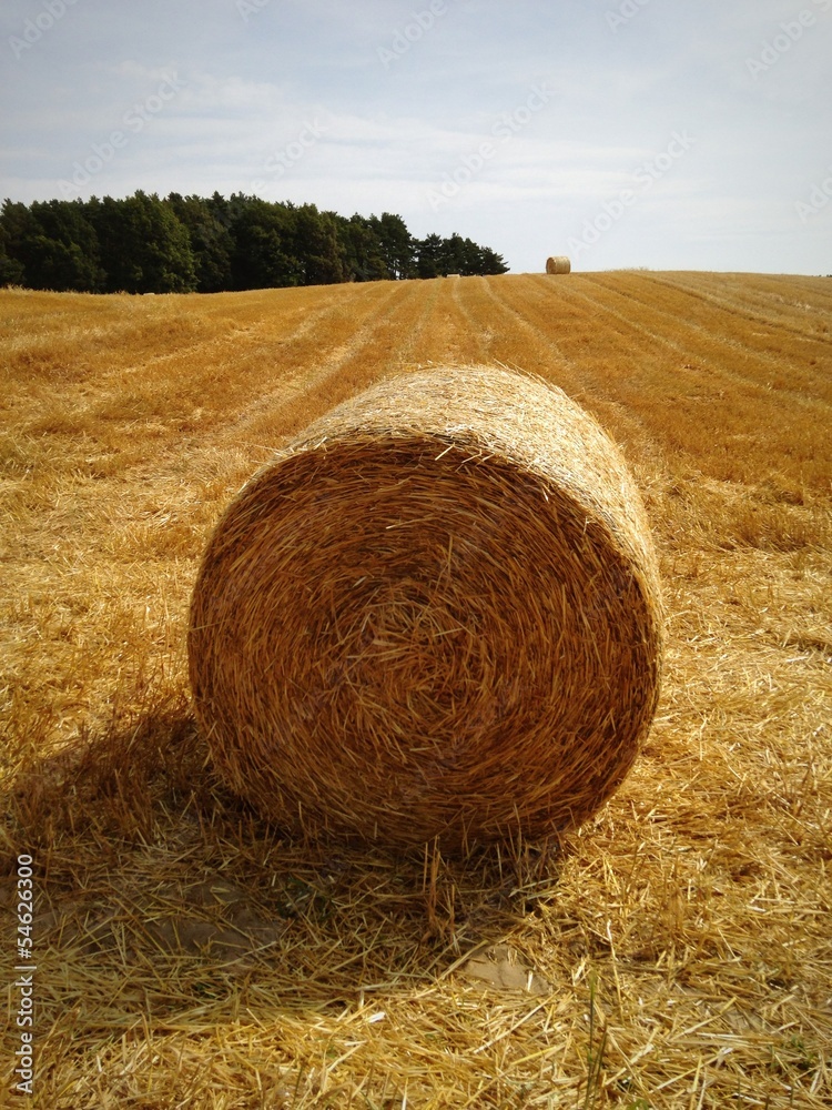 Strohballen auf Feld Stock Photo | Adobe Stock