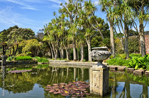 Pond and trees in Logan Botanic Gardens