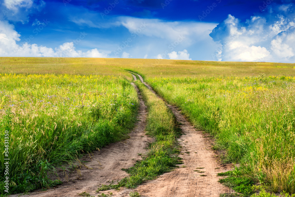Peaceful rural landscape in wide field with country road Peaceful rural landscape in wide field with country road