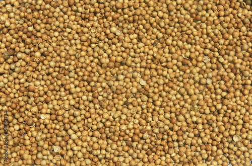 closeup background of white pepper seeds , Thailand
