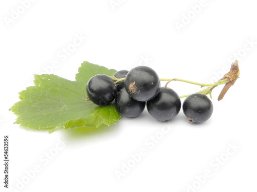 Berries of black currant.