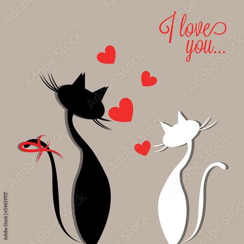 cats love
