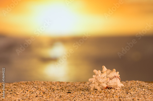 sunset and beach concept