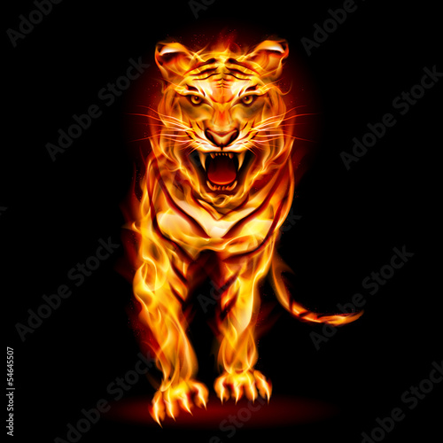 Fototapeta Naklejka Na Ścianę i Meble -  Fire tiger