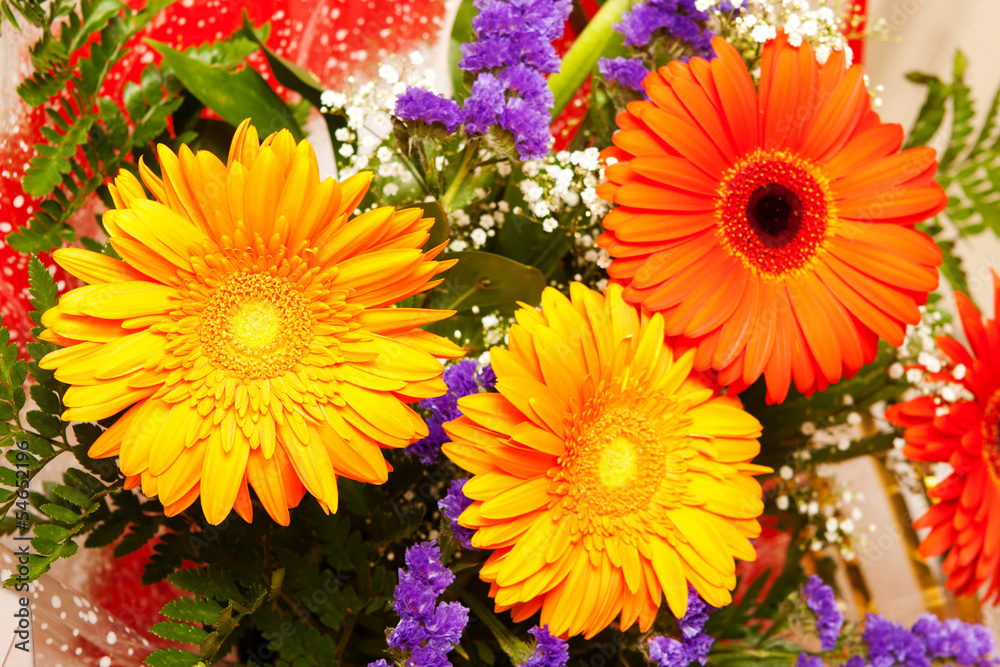 bright flowers bright flowers