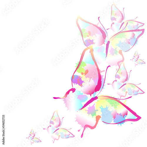 butterfly,butterflies vector