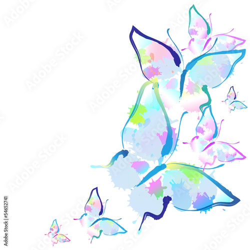 butterfly,butterflies vector