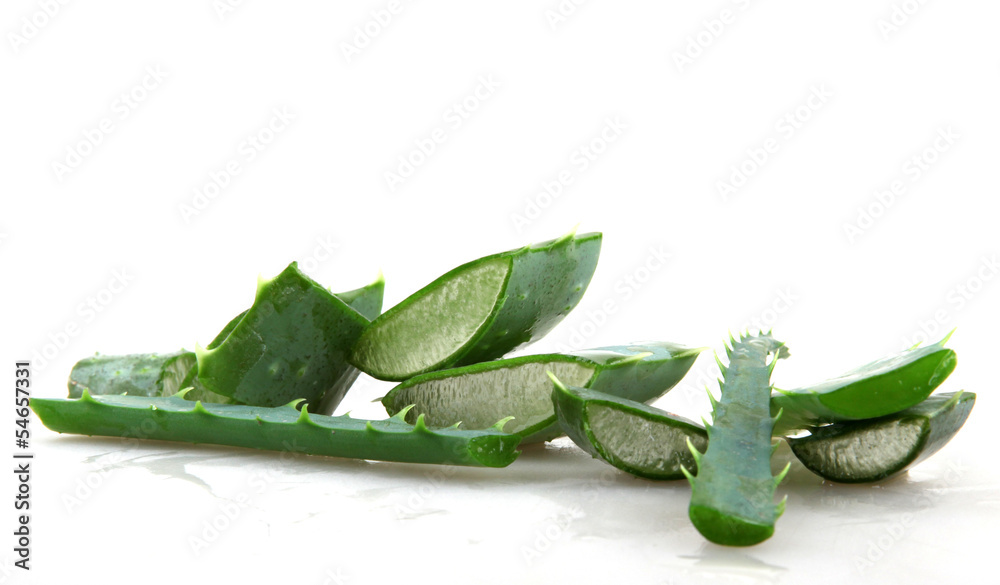 Fototapeta premium Aloe vera plant 