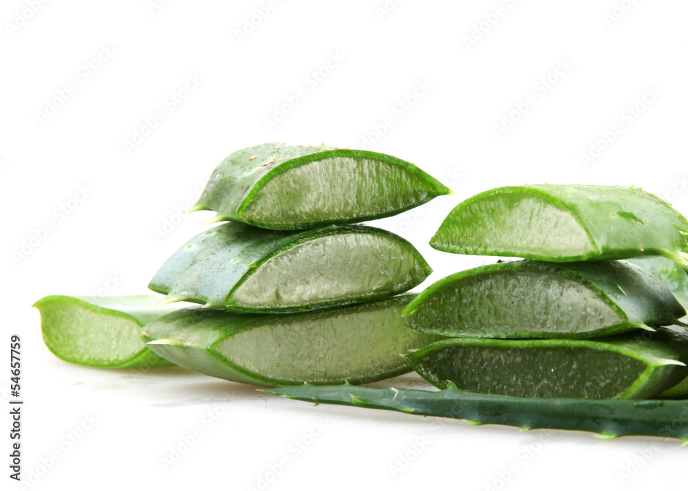 Fototapeta premium Aloe