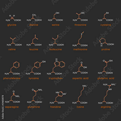 Amino acids