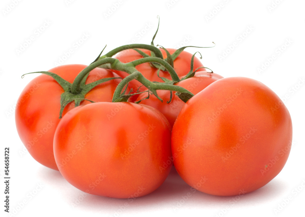 Tomato vegetables isolated on white background Tomato vegetables isolated on white background