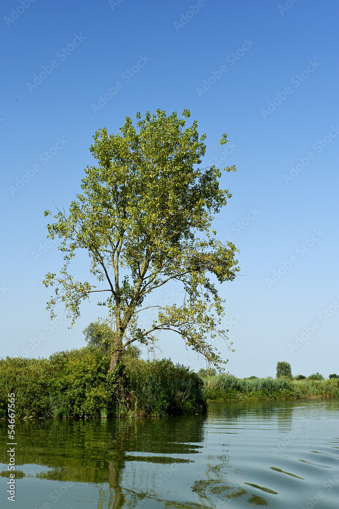 fiume micio fiume micio