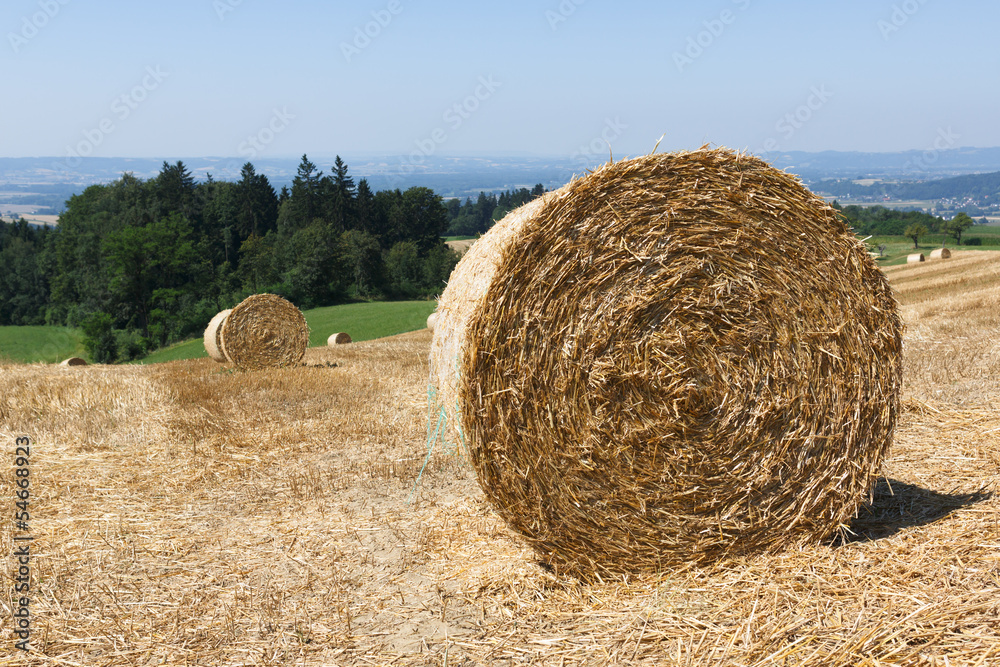 Heuballen auf dem Feld