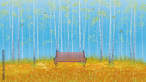 Birch grove