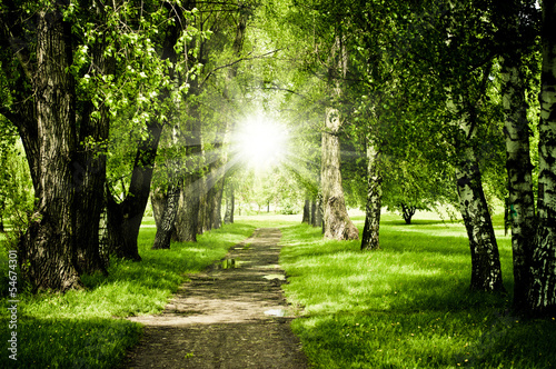 path