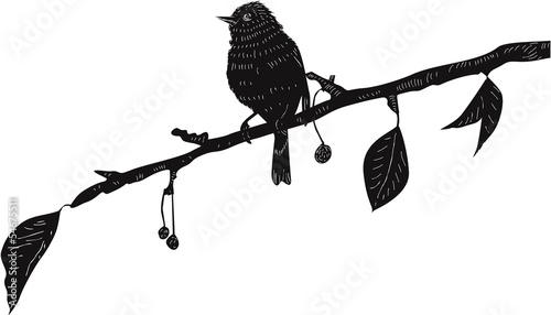 Bird on the branch