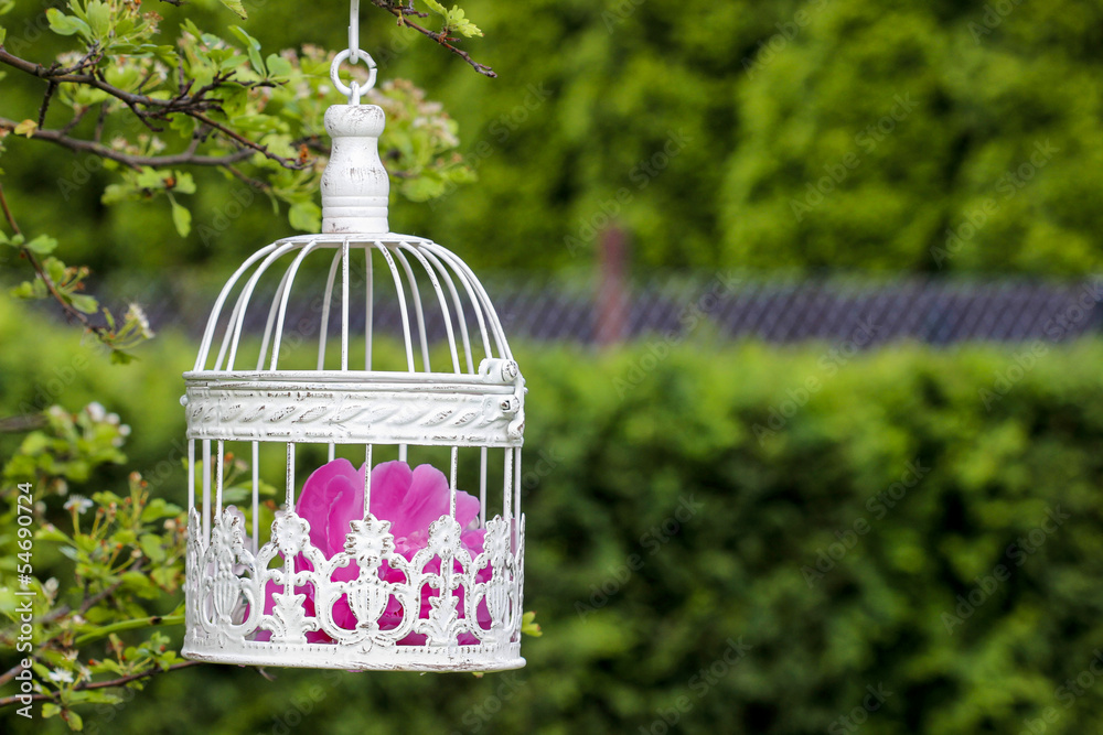 Obraz premium Birdcage with pink flowers inside, hanging on a branch in green,