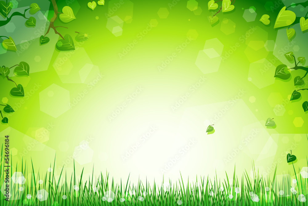 Fototapeta premium Wiese Hintergrund