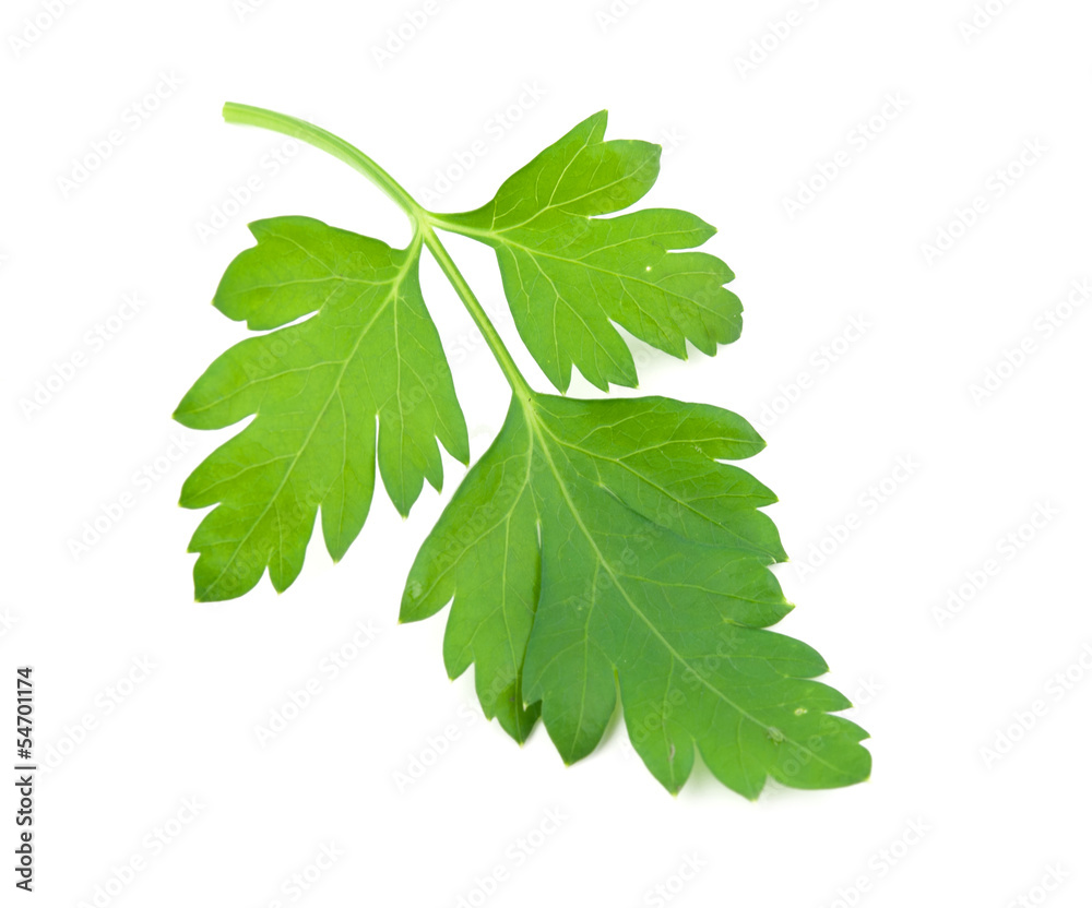 sprig of parsley sprig of parsley