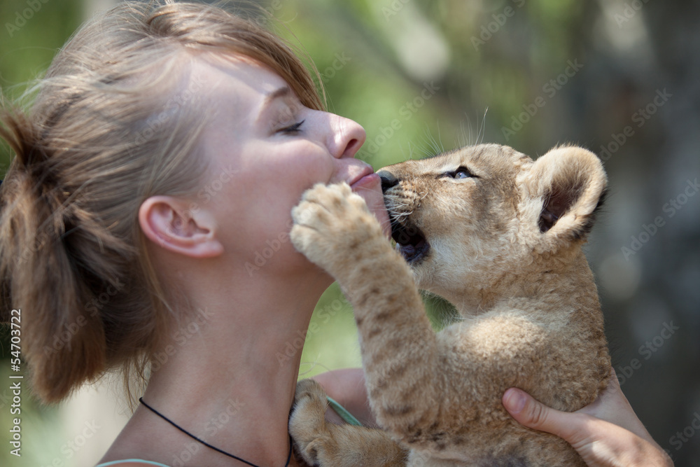 Fototapeta premium Girl plays with little African lion cub. Young female takes care of a wild animal