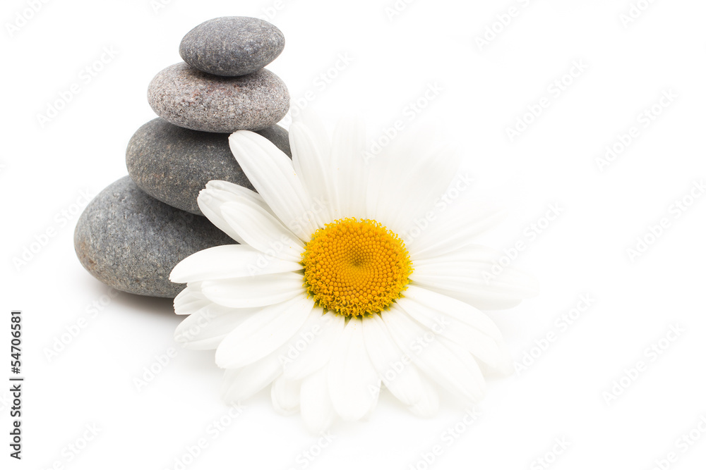 Fototapeta premium Spa stones.