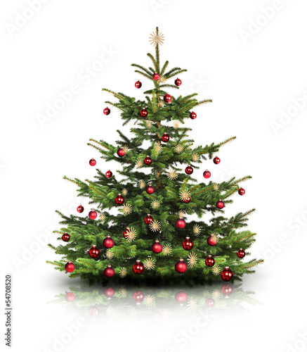 Weihnachtsbaum