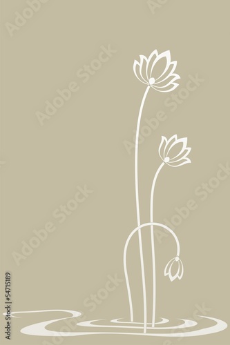 Fototapeta Naklejka Na Ścianę i Meble -  water lilies, wedding card design, India