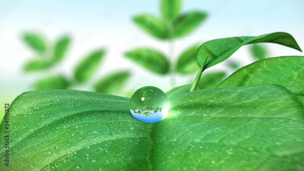 Dewdrop on leaf, Beautiful animation. HD 1080.