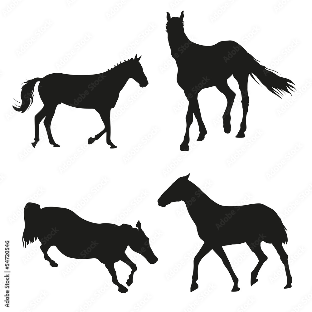 Obraz Konie