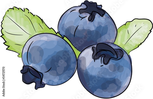 heidelbeeren