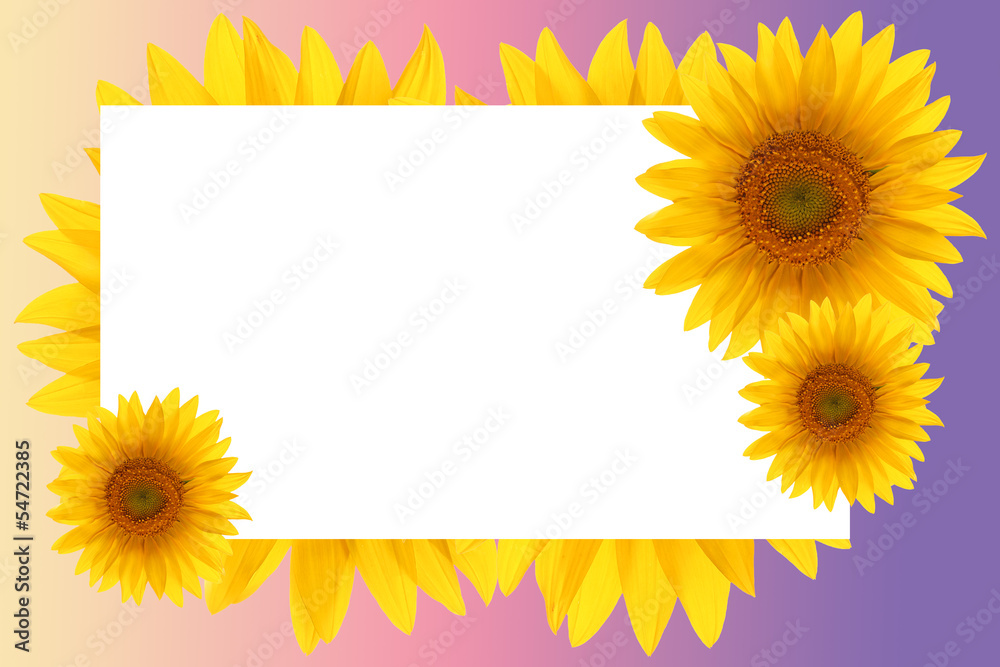 card sunflower frame flower backgrounds sunset card sunflower frame flower backgrounds sunset