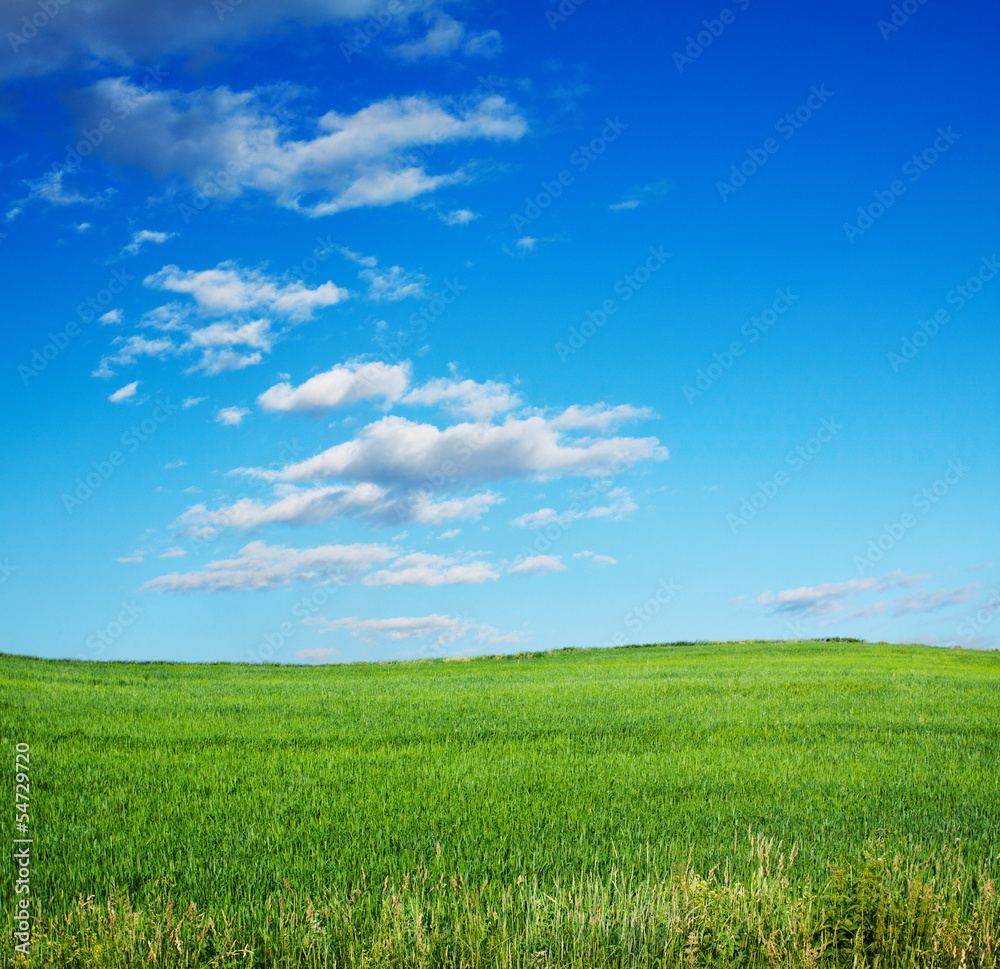 sky and fields