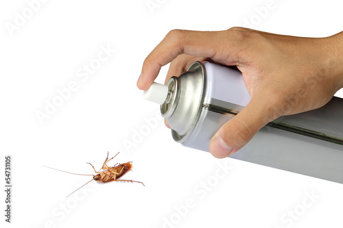 Cockroach spray with spray cans over white background