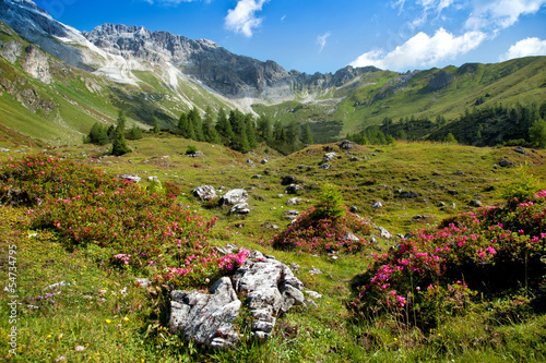 Prächtiges Panorama photo