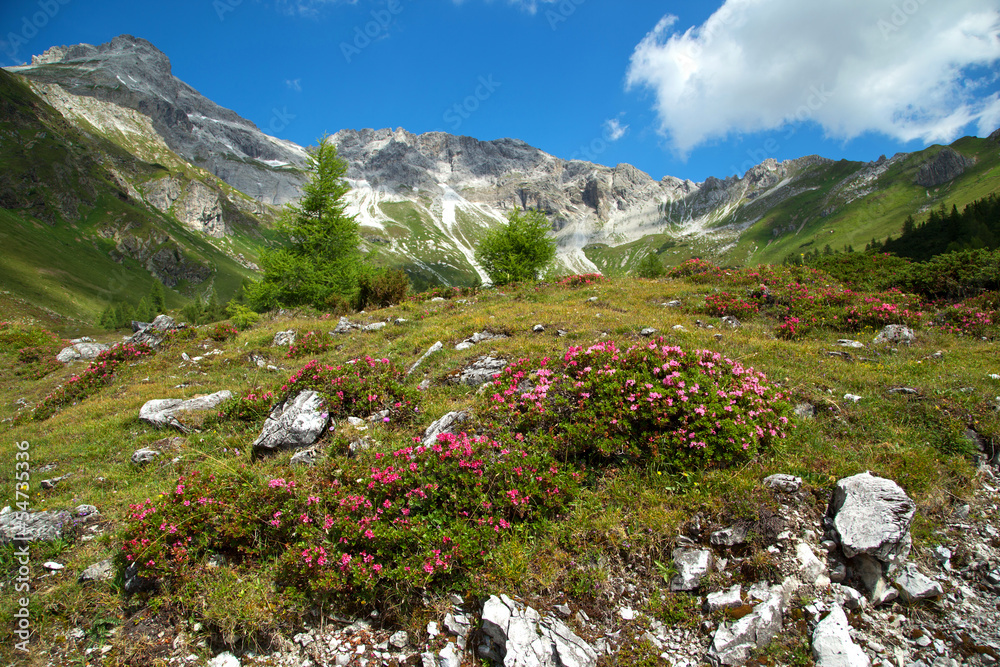 im schönen Salzburger Land